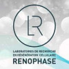 Renophase (Франція)