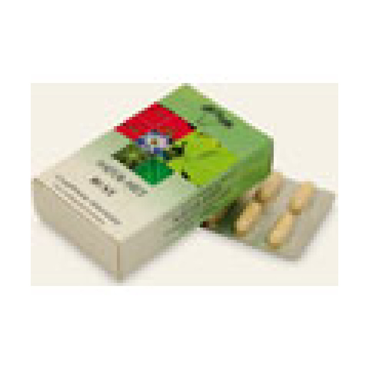 Добавка для корекції форми грудей BUST (30 таб.)