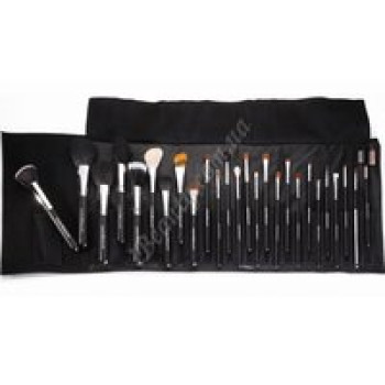 Набір з 26 пензлів у чорному чохлі