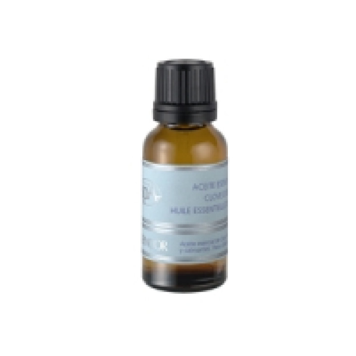 Ефірна олія гвоздики - Clove Essential Oil Skeyndor, 20 ml