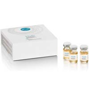 Відновлююча олія Vitalis – Essential Oils Alfaparf 6х5ml