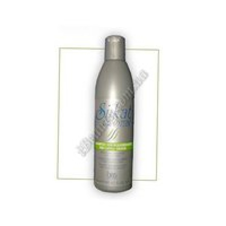 Шампунь для жирного волосся SILKAT PROTEIN SEBOEQUILIBRANTE BES, 300 ml