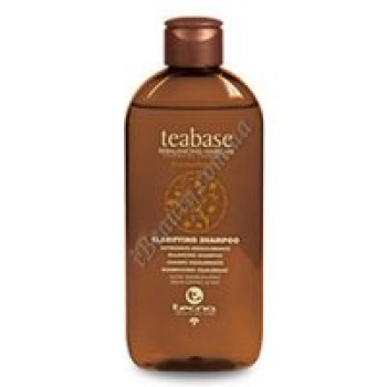 Очищаючий шампунь для жирної шкіри голови - CLARIFYING SHAMPOO Tecna, 500 мл