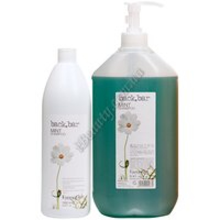 Ментоловий шампунь - BACK BAR MINT SHAMPOO FarmaVita, 1000ml