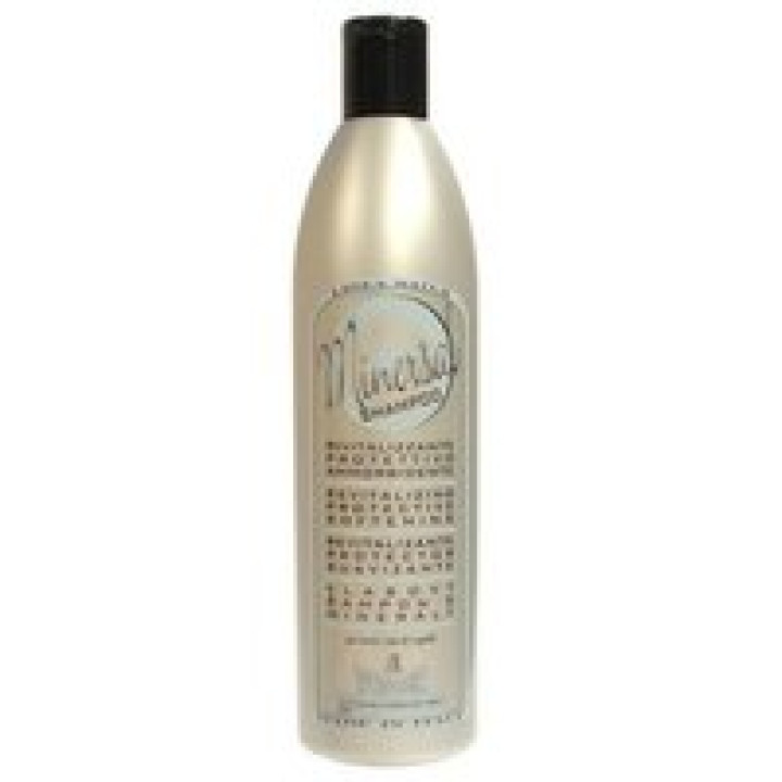 Шампунь з мінералами для сухого волосся - WONDER SHAMPOO MINERSAL Gestil, 500 ml