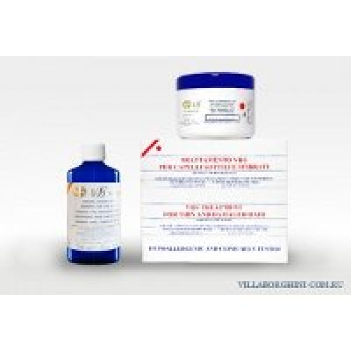 комплекс для відновлення сухого та пошкодженого волосся - Treatment for thin and damaged hair VILLA BORGHINI