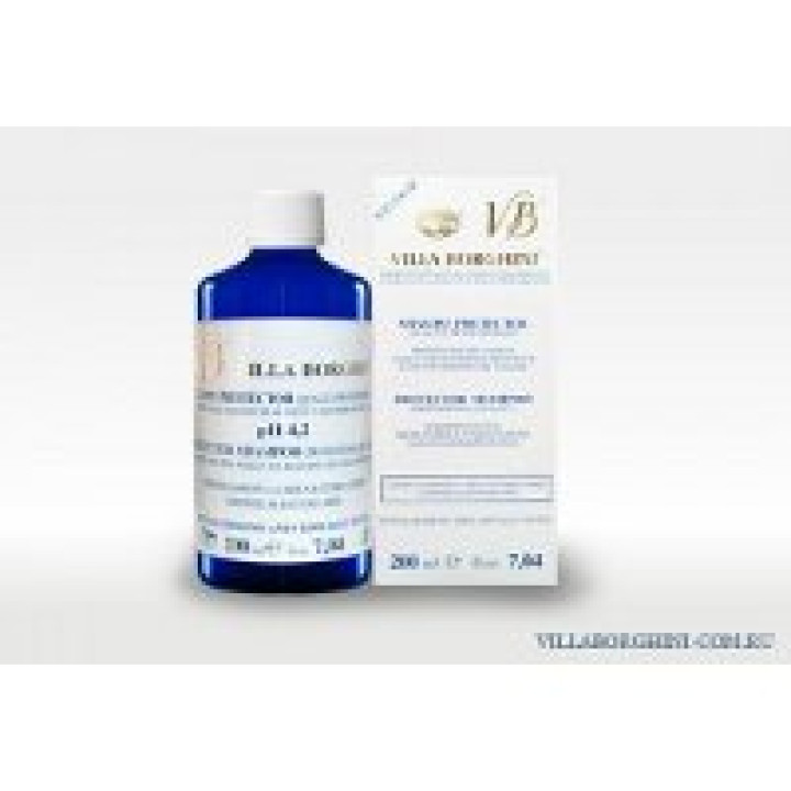 Шампунь, що зберігає колір волосся - Protector shampoo VILLA BORGHINI, 200ml